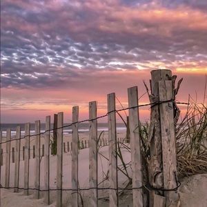 Meet your Posher, Robin